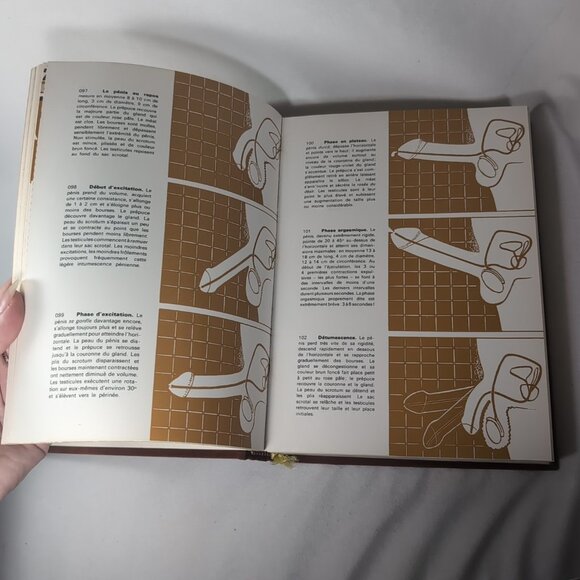 1979 Darlambach De La Perennite du Couple Savoir Fair Amour Technique Sexuelle - Picture 13 of 16